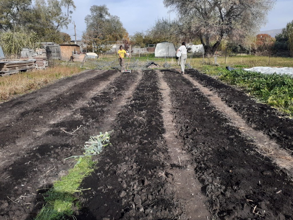 Biochar applied on market garden. BUG FARMS Salt Lake City